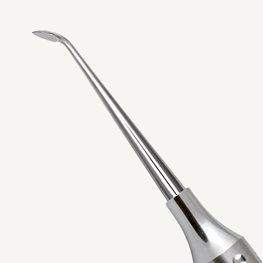 Cleoid Discoid Carver 2