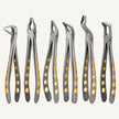 eXcel ™ Forceps Set Gold