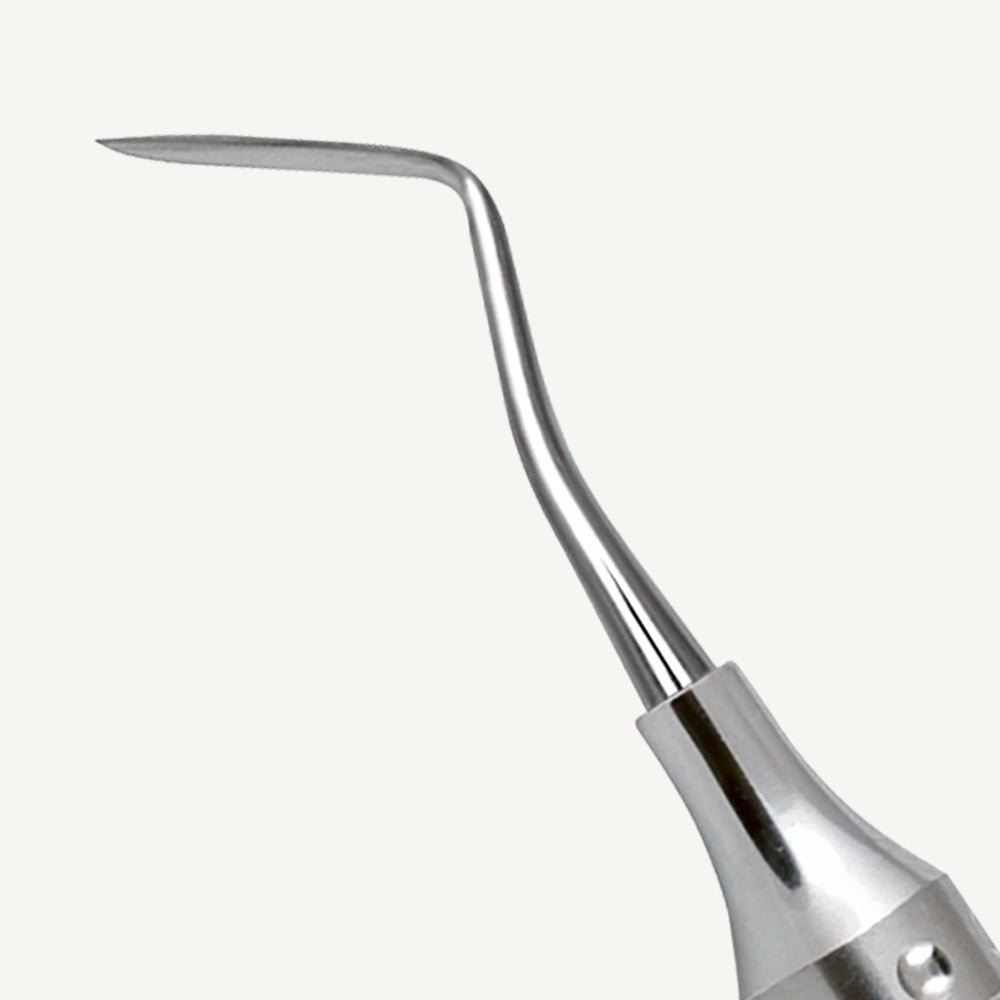 Hollenback Carver 3