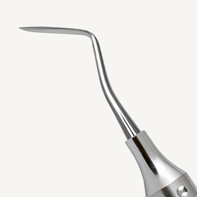 Hollenback Carver 3