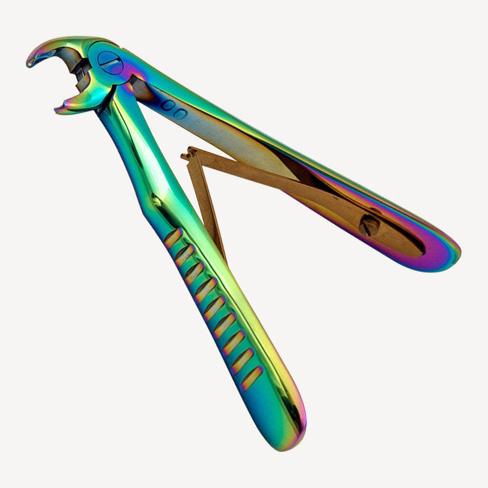 Lower Molars And Premolars
