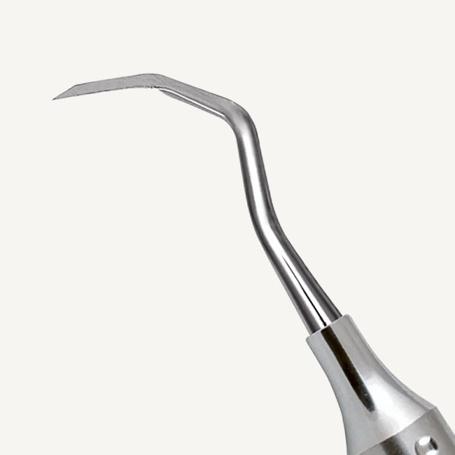 Tanner 6 Carving Knife