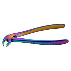 Lower Molars Multi Color