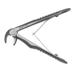 Lower Molars And Premolars